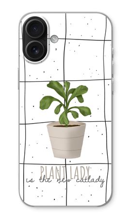 Houseplant on windowpane