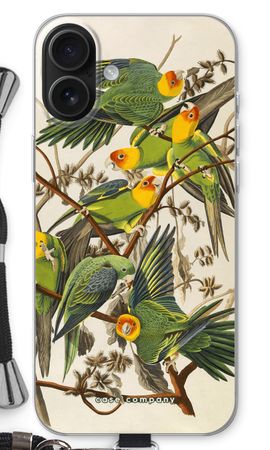 Carolina Parrot