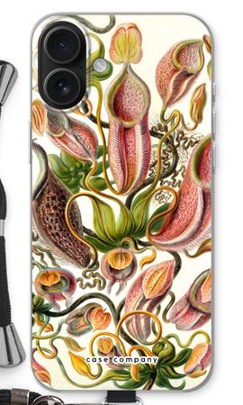 Haeckel Nepenthaceae