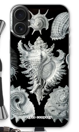 Haeckel Prosobranchia