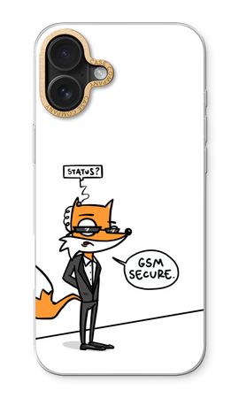 GSM secure