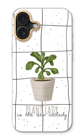 Houseplant on windowpane