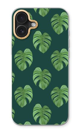 Monstera leaves