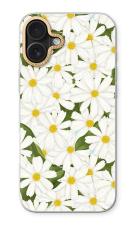 Summer Daisies