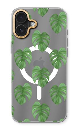 Monstera leaves