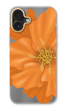 Orange Ellila flower