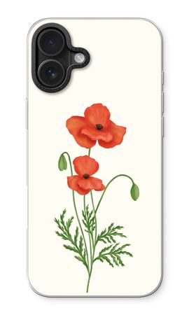 Red poppy