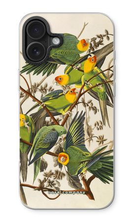 Carolina Parrot