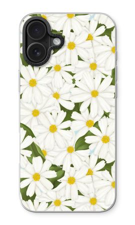 Summer Daisies
