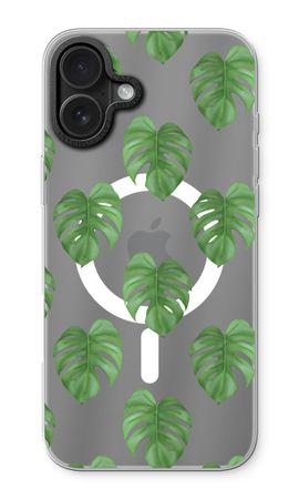 Monstera leaves