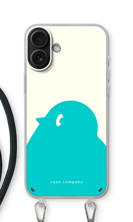 BIG Robin 1