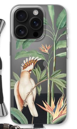 Tropical Parrot