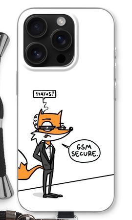 GSM secure