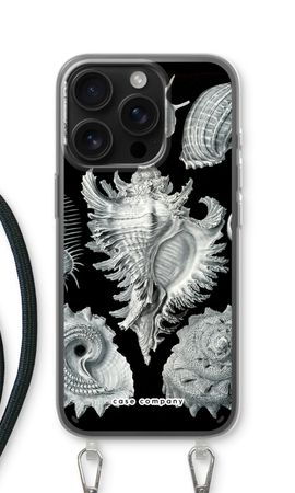 Haeckel Prosobranchia