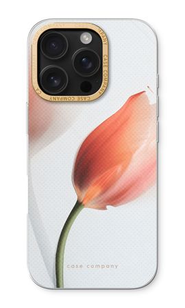 Tulip