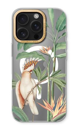 Tropical Parrot