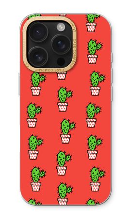 Mini cactus