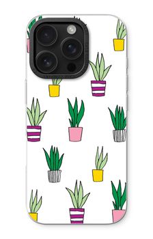 Sanseveria