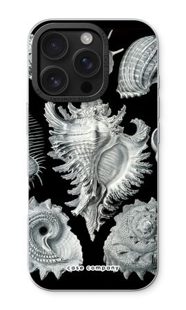 Haeckel Prosobranchia