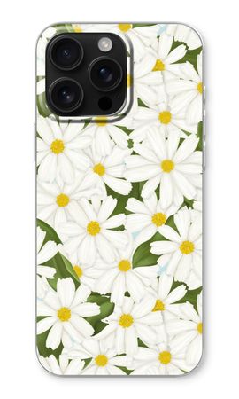 Summer Daisies