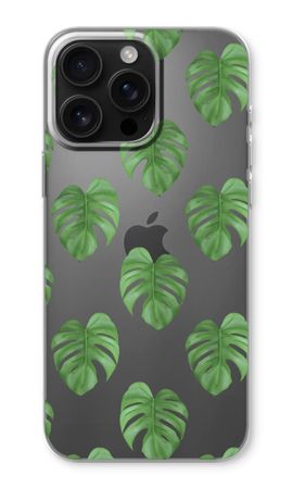 Monstera leaves