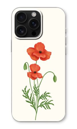 Red poppy