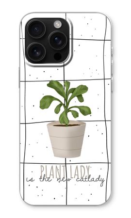 Houseplant on windowpane