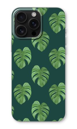 Monstera leaves