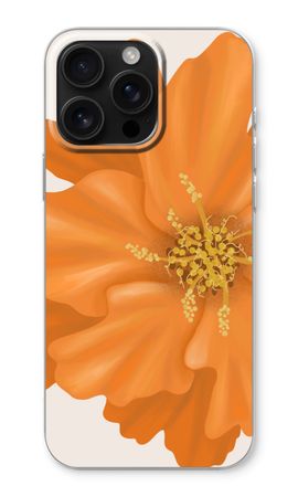 Orange Ellila flower
