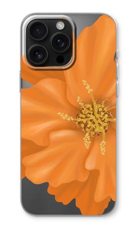 Orange Ellila flower