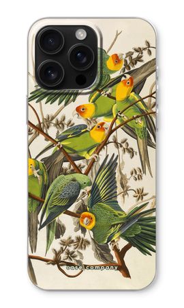 Carolina Parrot