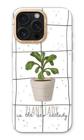 Houseplant on windowpane