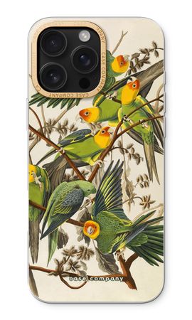 Carolina Parrot