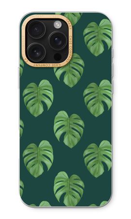 Monstera leaves