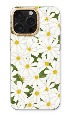 Summer Daisies