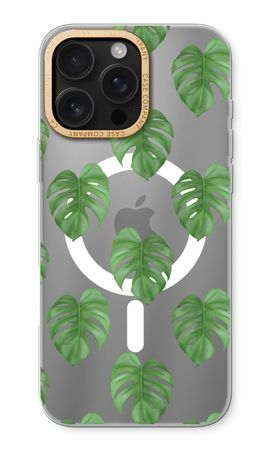 Monstera leaves