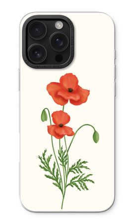 Red poppy