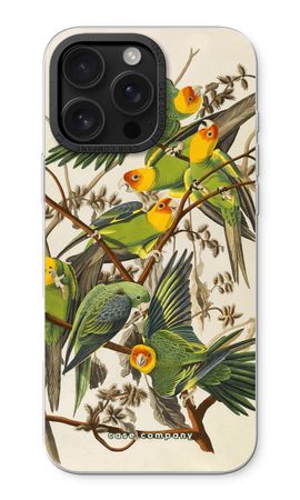 Carolina Parrot