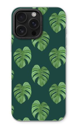 Monstera leaves