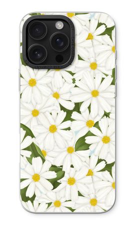 Summer Daisies