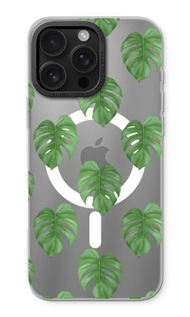 Monstera leaves