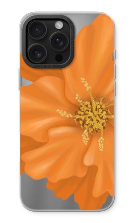 Orange Ellila flower