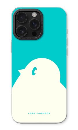 BIG Robin 2