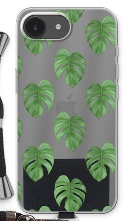 Monstera leaves