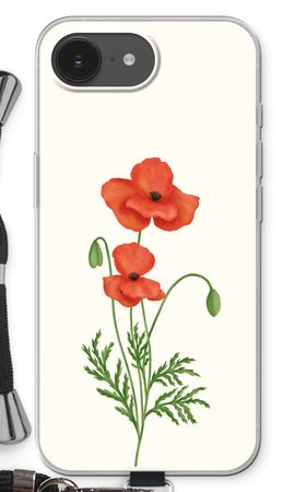 Red poppy