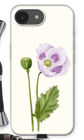 Purple poppy