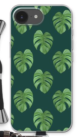 Monstera leaves
