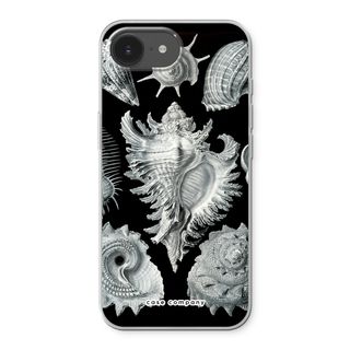 Haeckel Prosobranchia