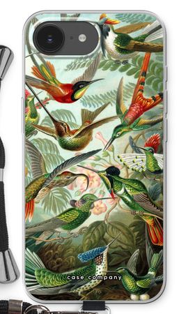 Haeckel Trochilidae