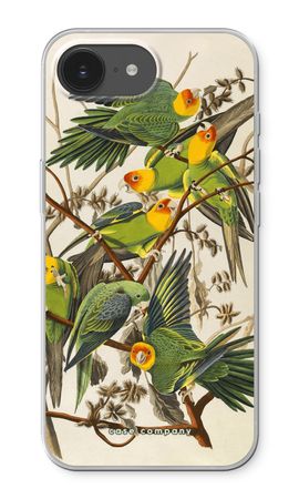 Carolina Parrot